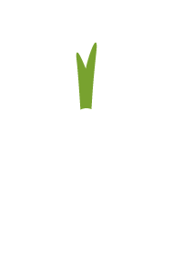 Agro-Démarrage